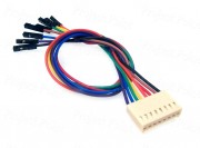 8-Pin Relimate Female To 8 Single Pins Cable - High Quality 2000mA 20cm